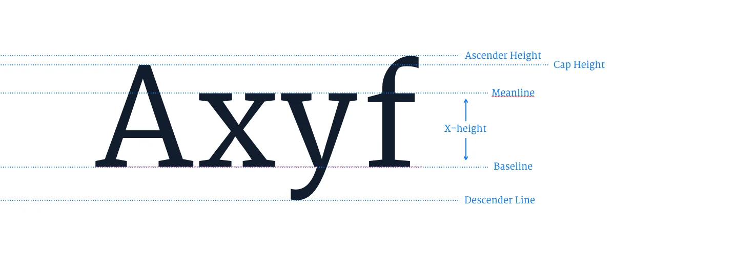 Anatomy of Typography