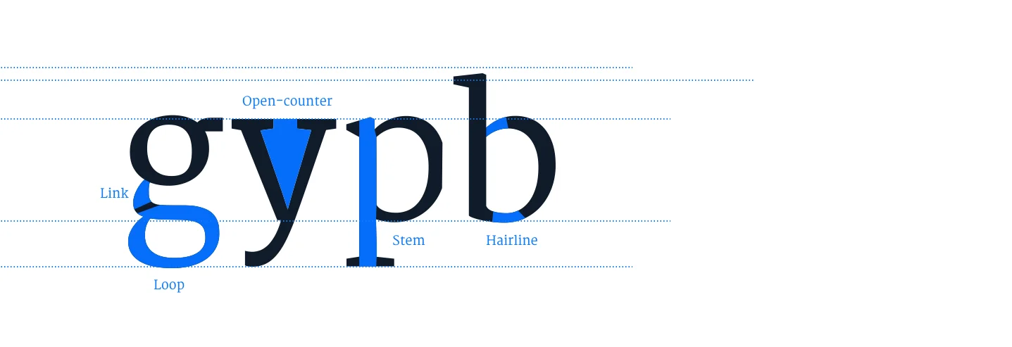 Anatomy of Typography