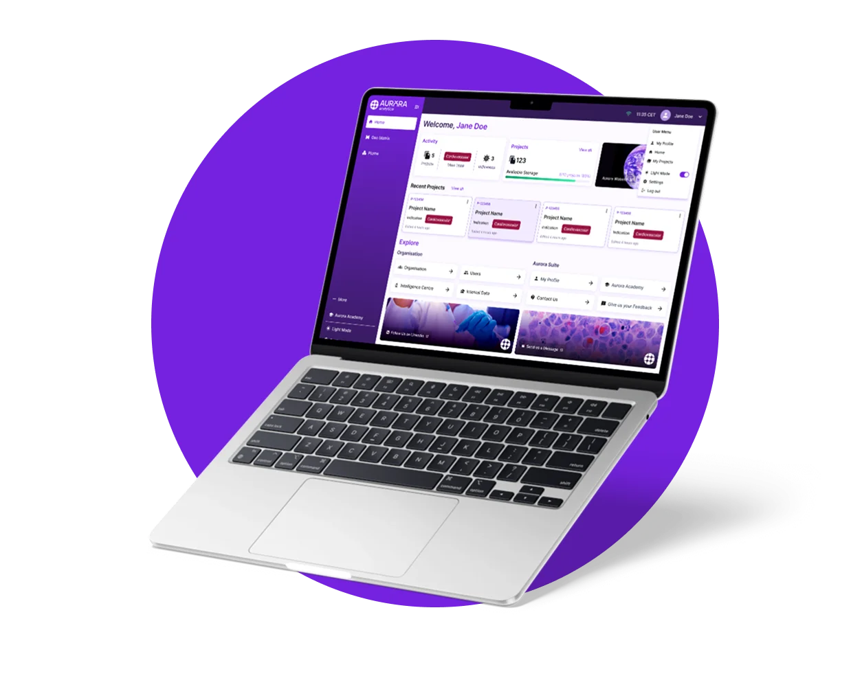 Aurora Analytica projektramme