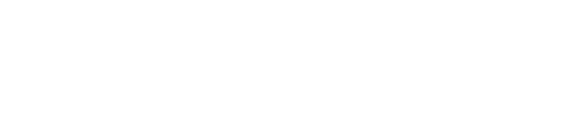 logo Swiss Side version blanche