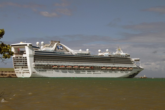 Princess Cruise WiFi 