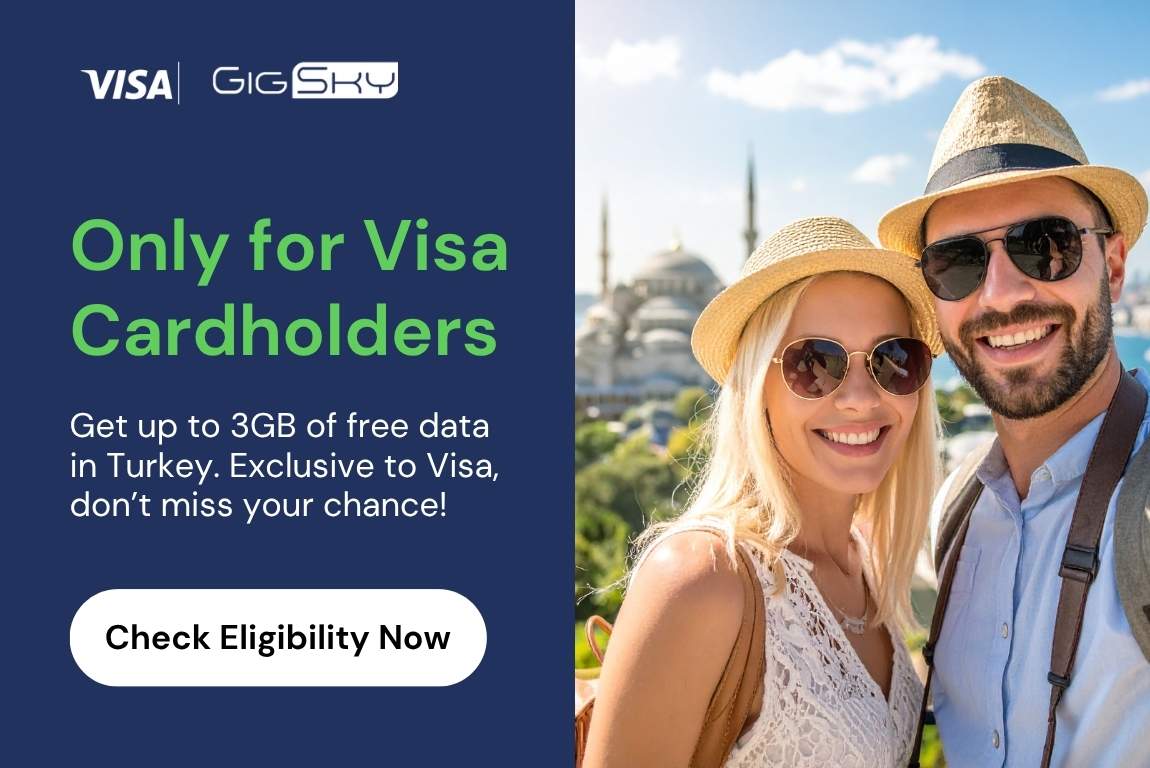esim VISA