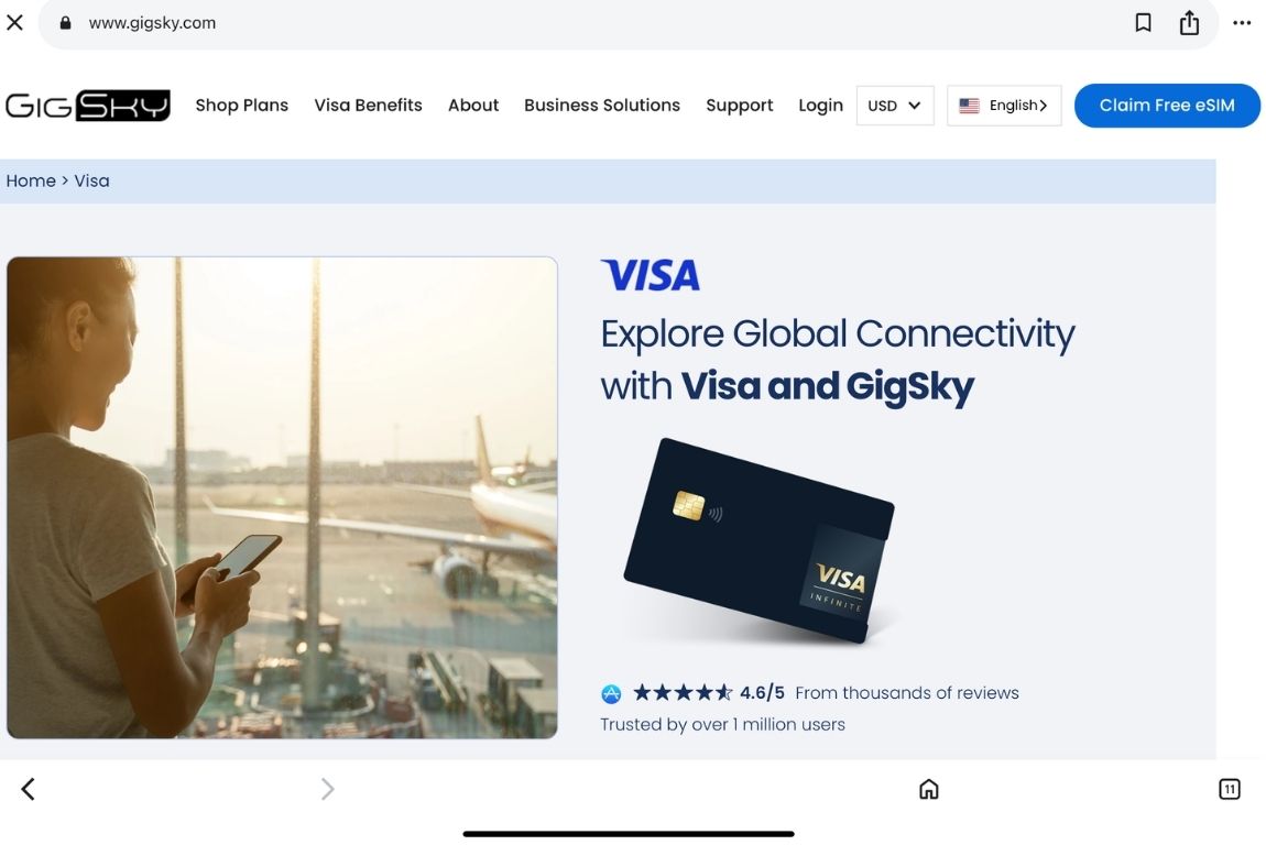 VISA eSIM