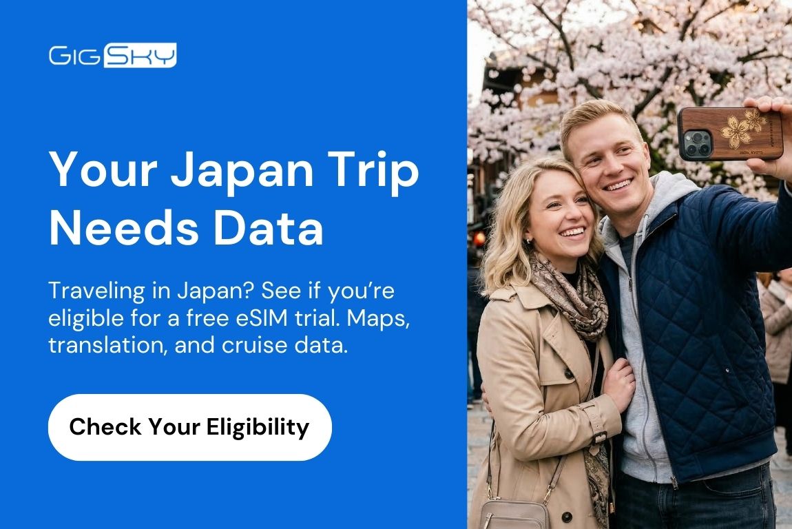 japan esim