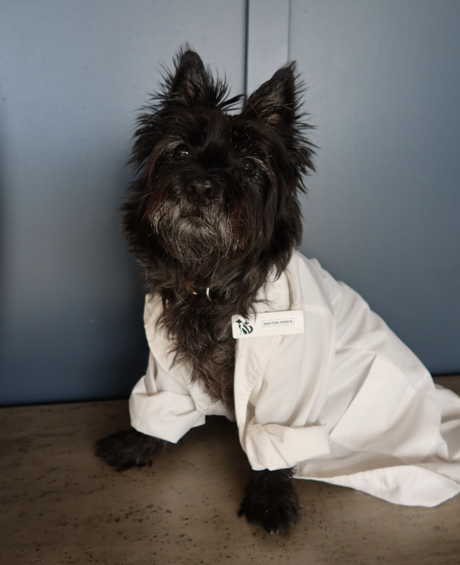 Doctor's Headshot