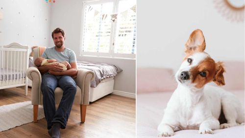 Understanding Dog Behavior During Pregnancy - A Glimpse Into Pregnant Dog Development
