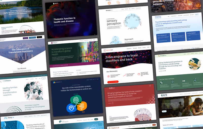 Collage of website pages designed by Stellate.