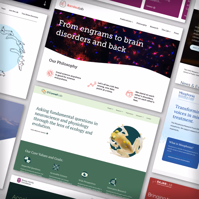 Collage of neuroscience and research lab website homepage sections with headings about brain disorders, philosophy, and ecology.