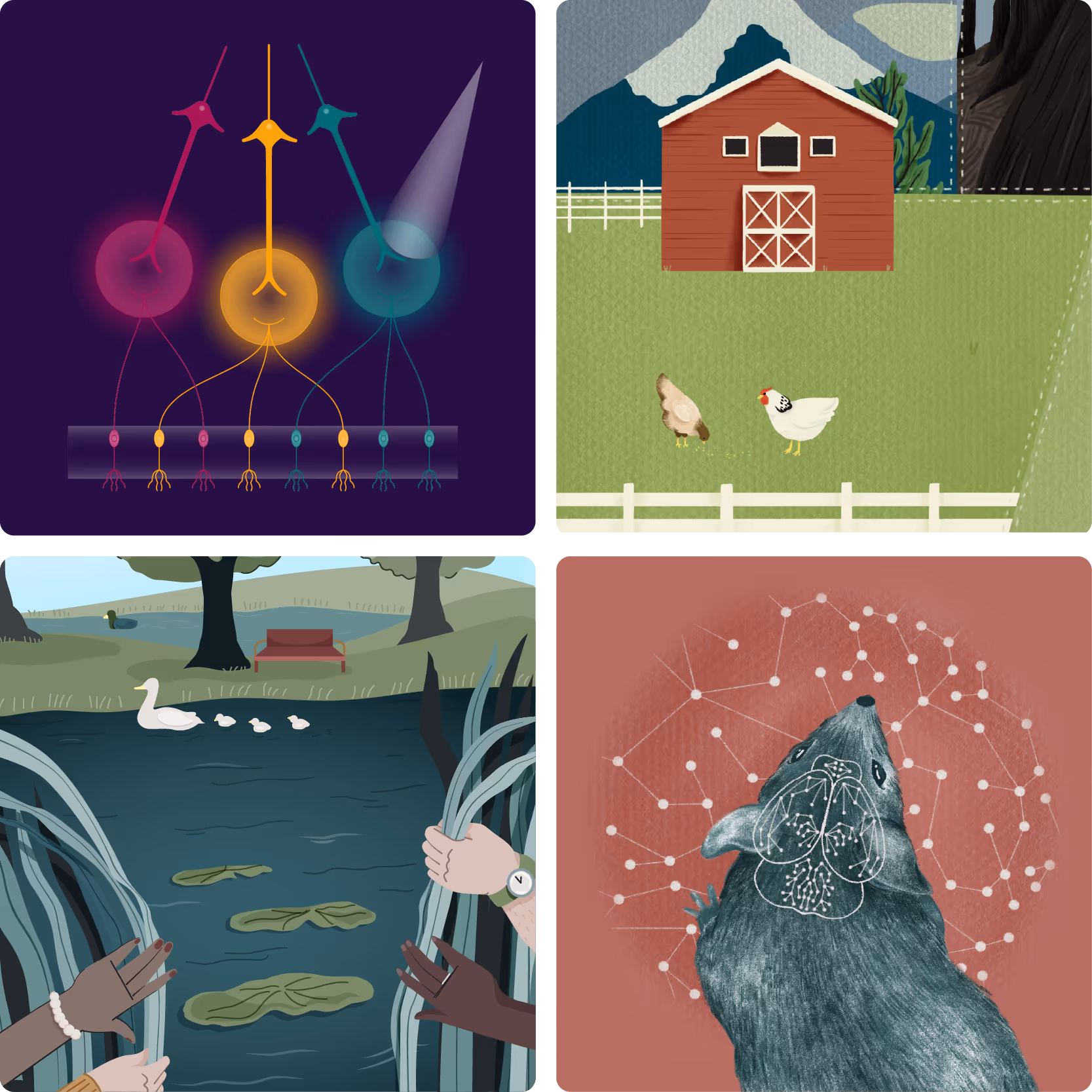 Four illustrations created by Stellate