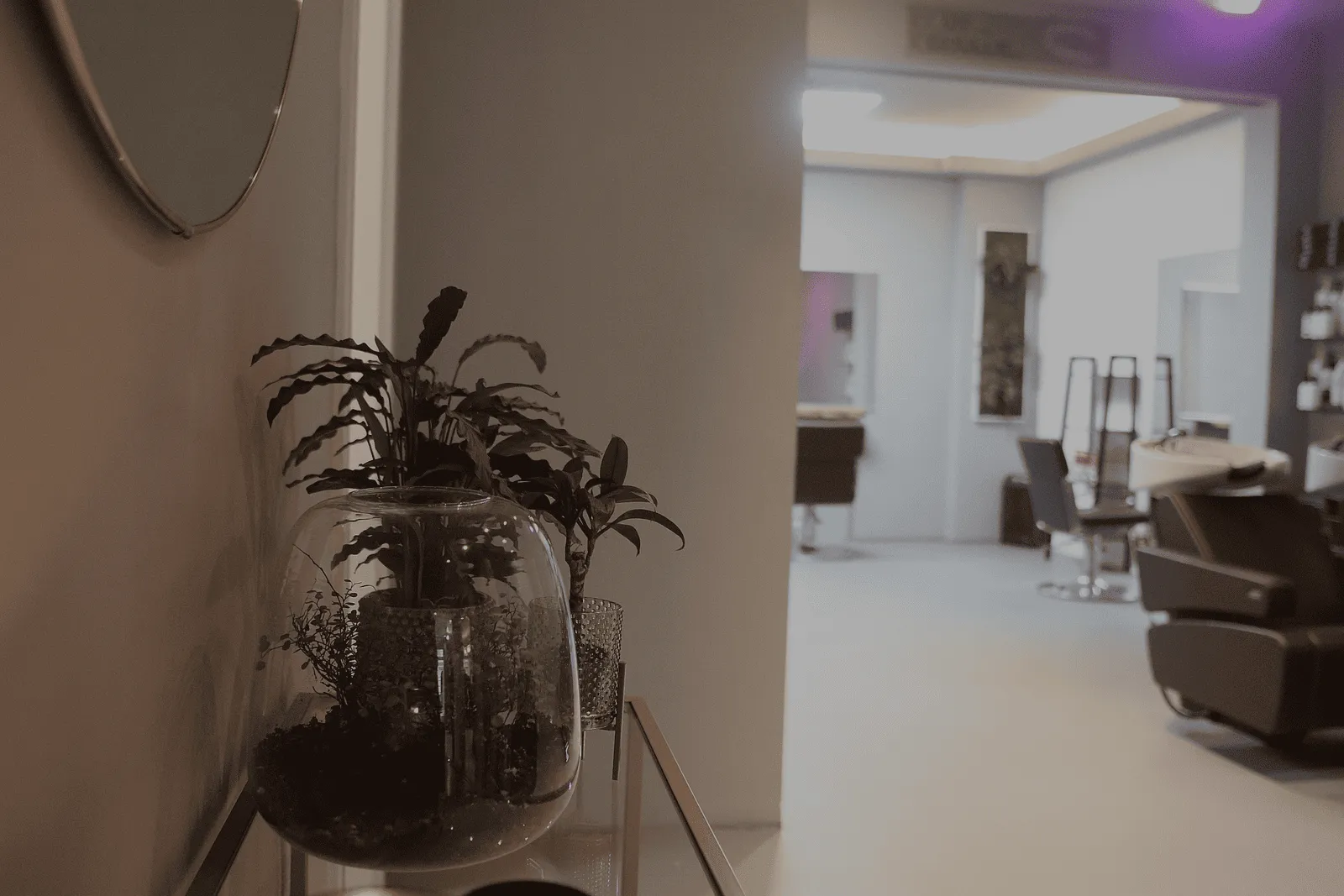 Wie macht man einen Friseursalon umweltfreundlich ?