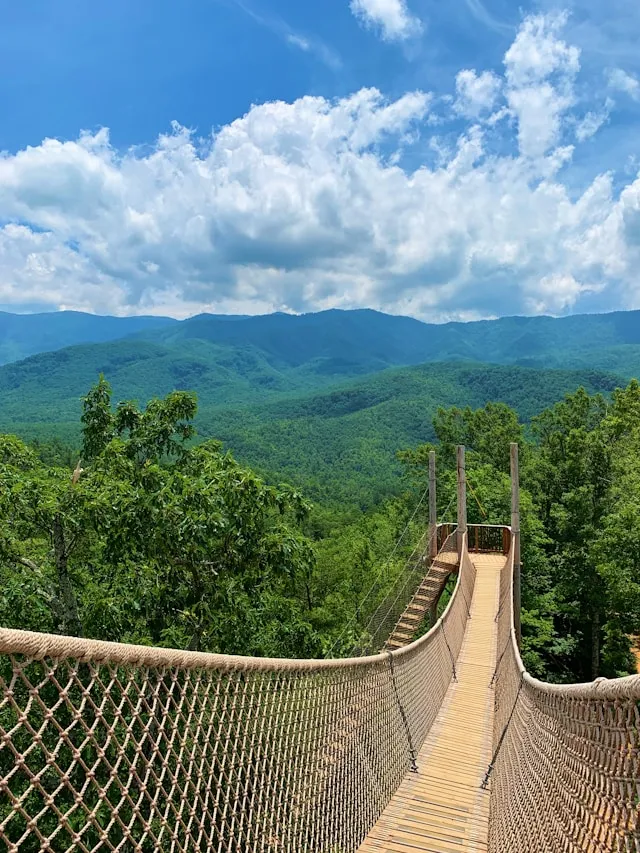From Hiking Trails to Hidden Waterfalls: Why Buying Land in Tennessee’s Mountains Means Adventure Every Day