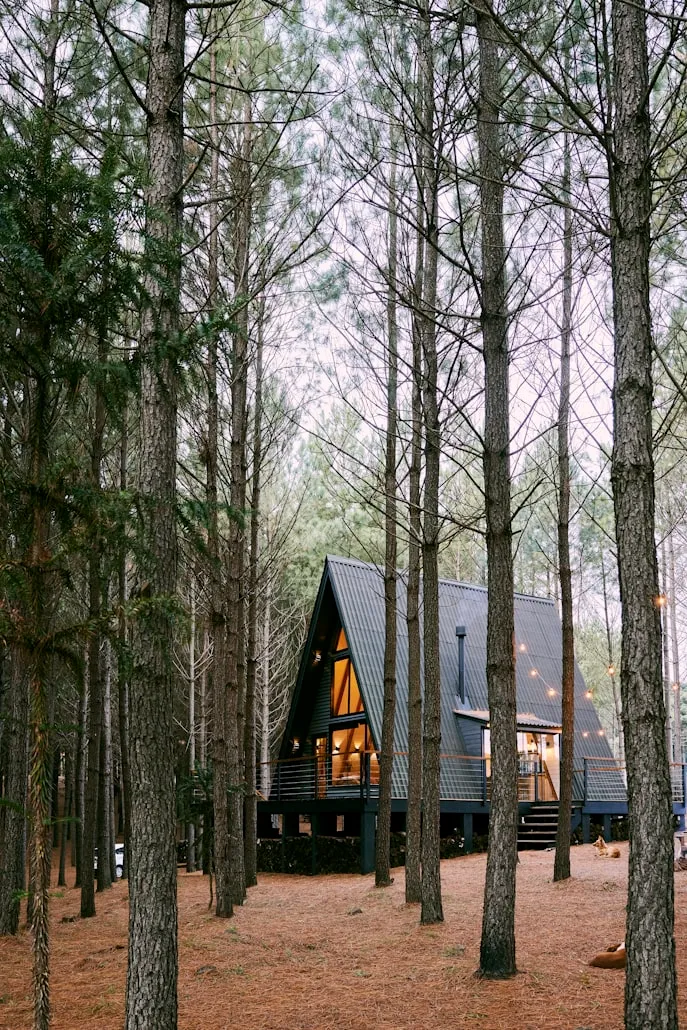 Building Your Dream Cabin in the Tennessee Mountains: Tips and Inspiration