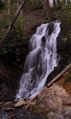 Seasonal Fun: Things to Do in Tennessee During Fall and Winter