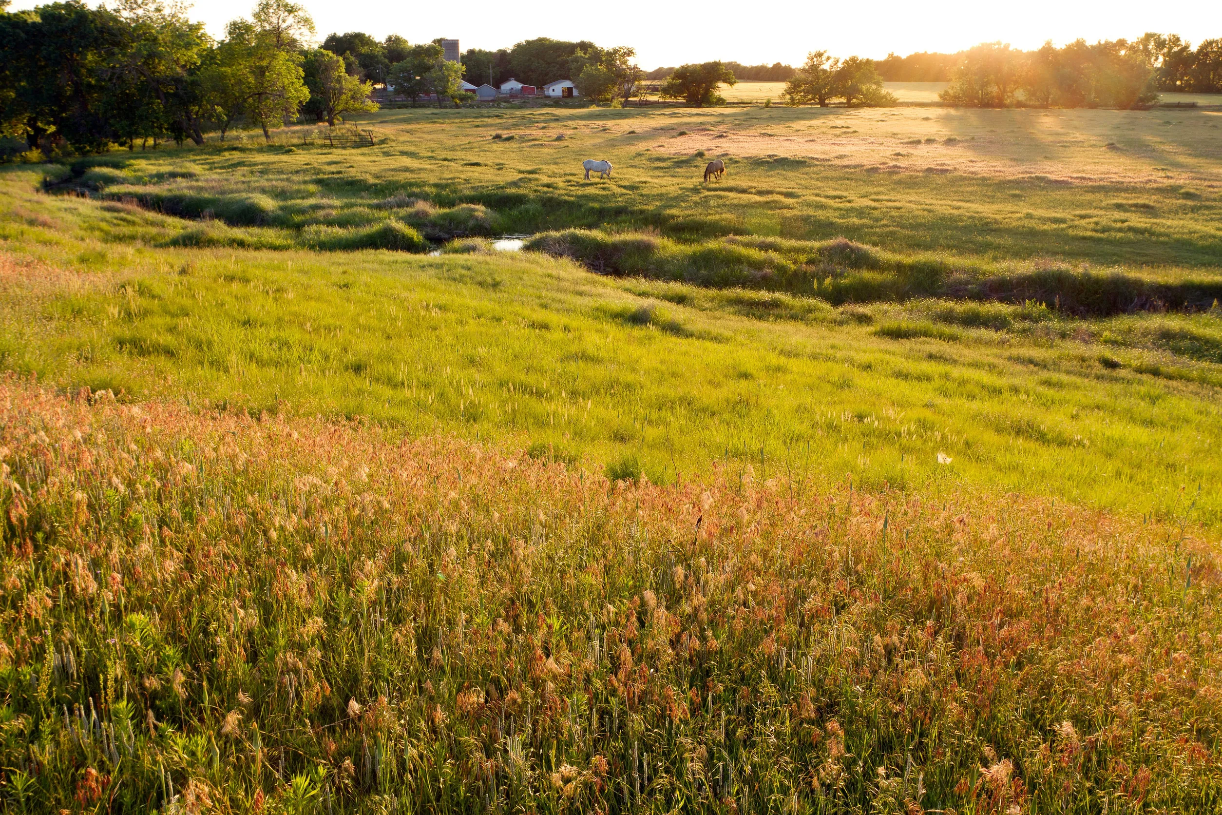 Why Buyers Are Moving Away from Cities and Into Rural Oklahoma Land