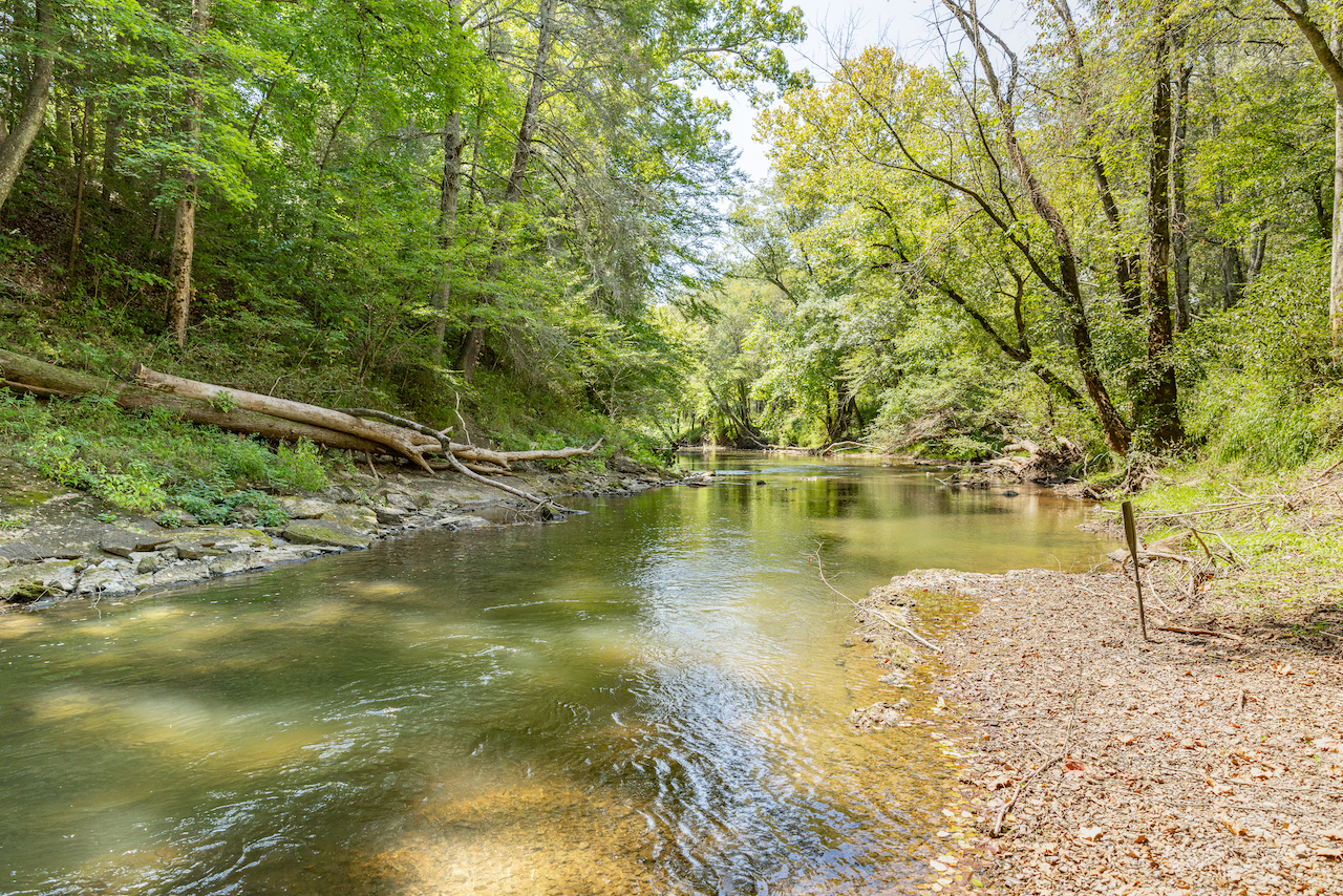 Escape the Noise and Discover Land for Sale in Eastern Tennessee