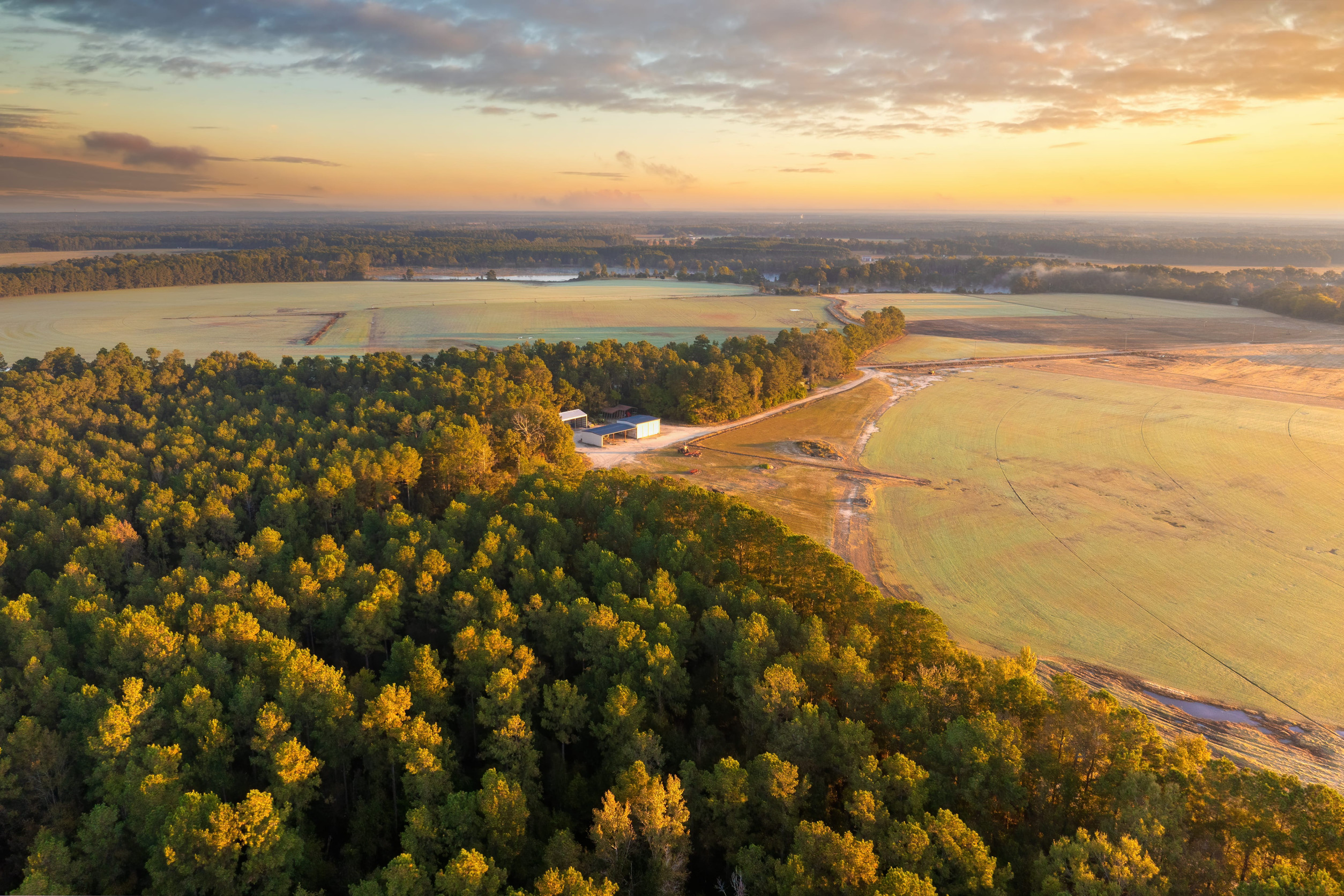 What Should You Know Before Buying Mountain Land for Sale in Georgia?