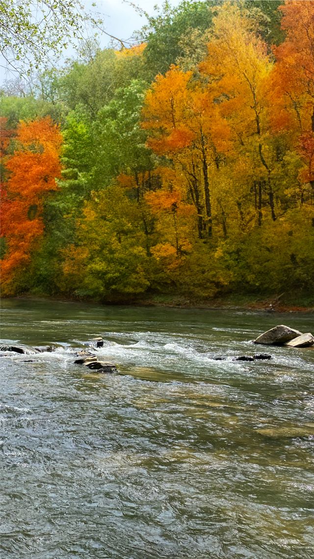 The Water and Wilderness Around Our Georgia Mountain Properties