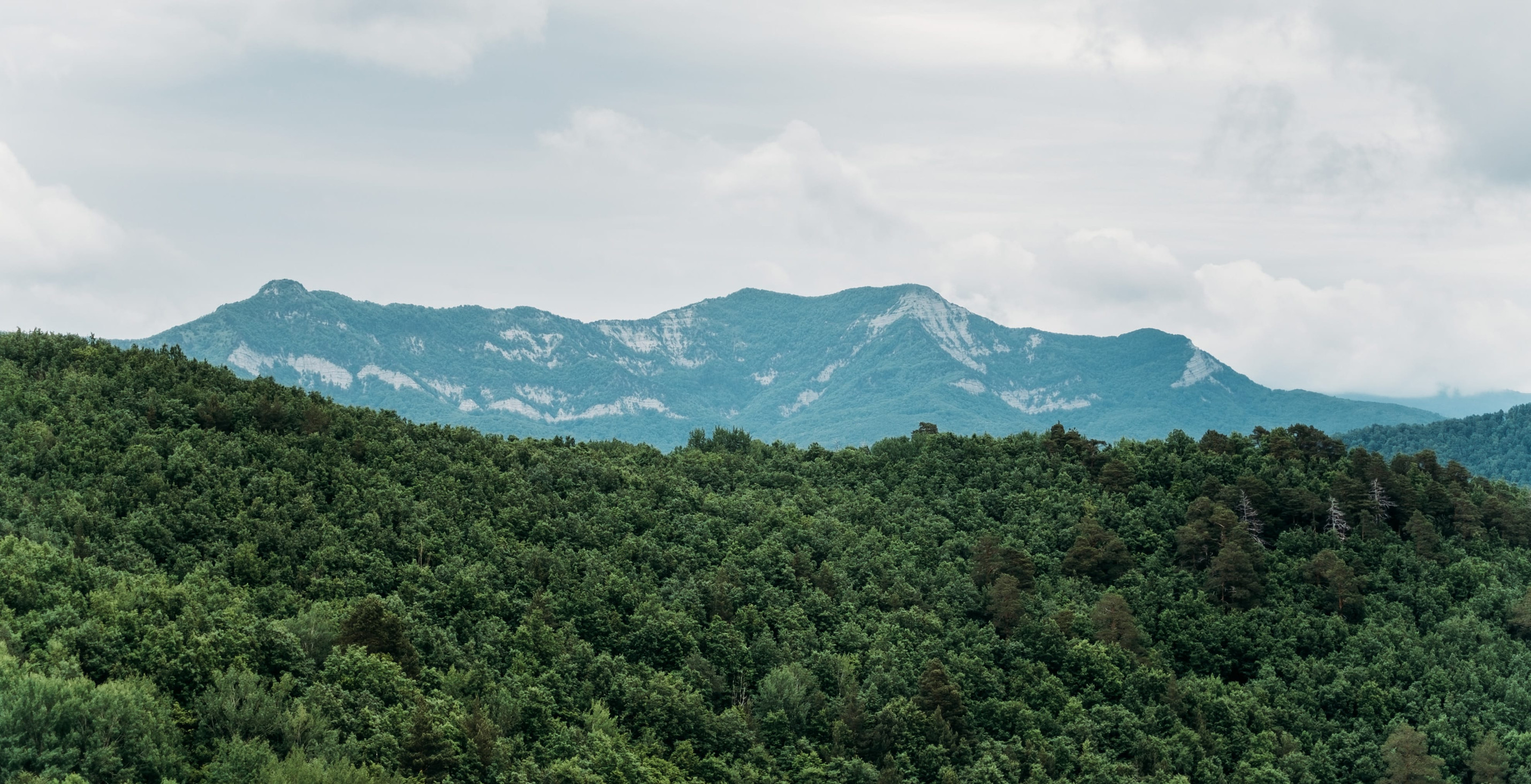 Where Should You Look for Land for Sale in Tennessee Mountains?