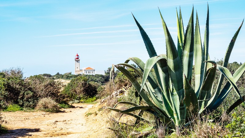 Algarvekysten. Foto: IStock/Elite Travel