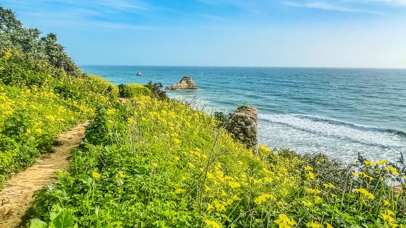 Algarvekysten. Foto: IStock/Elite Travel