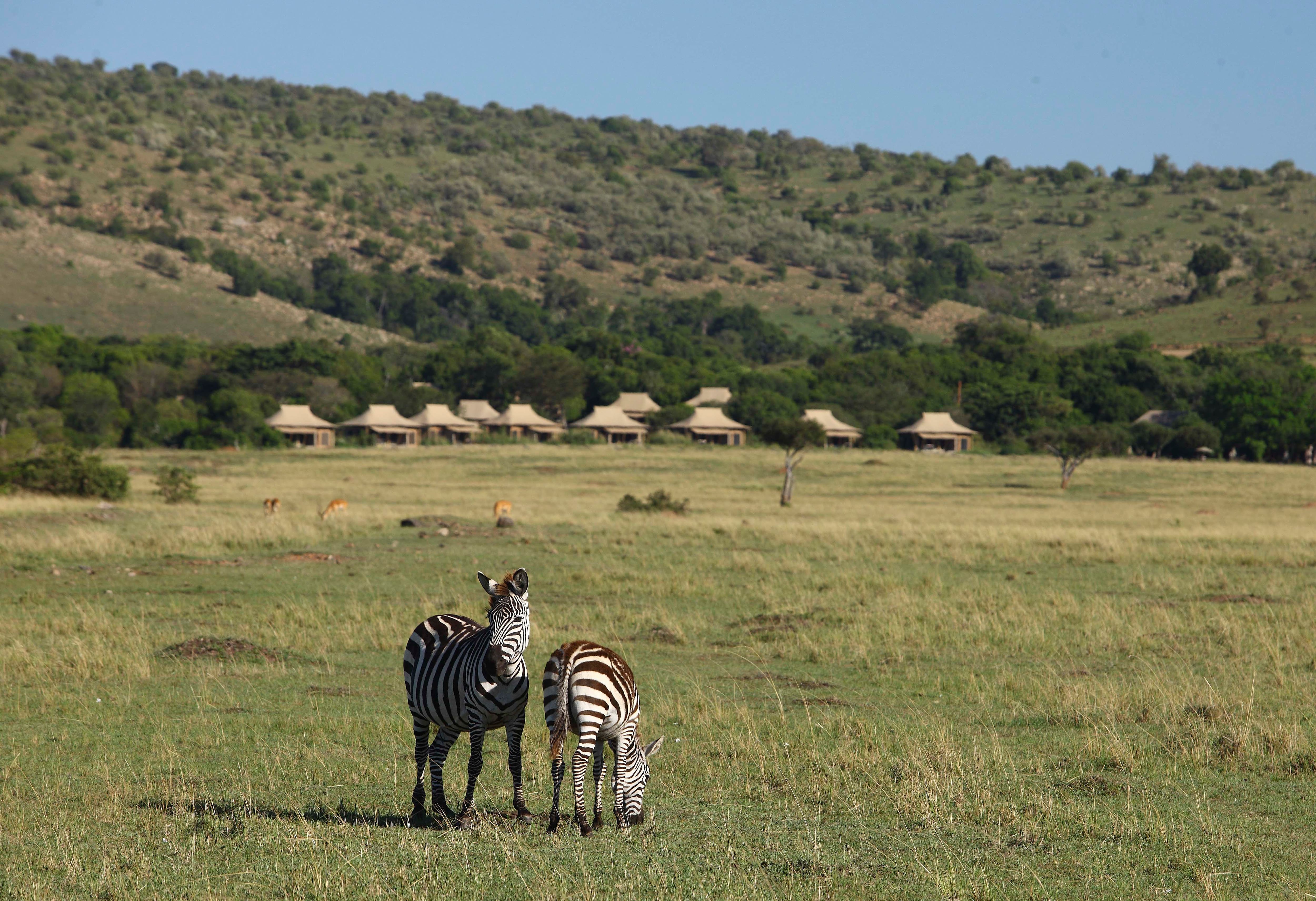 Foto: &Beyond Kichwa Tembo Tented Camp.
