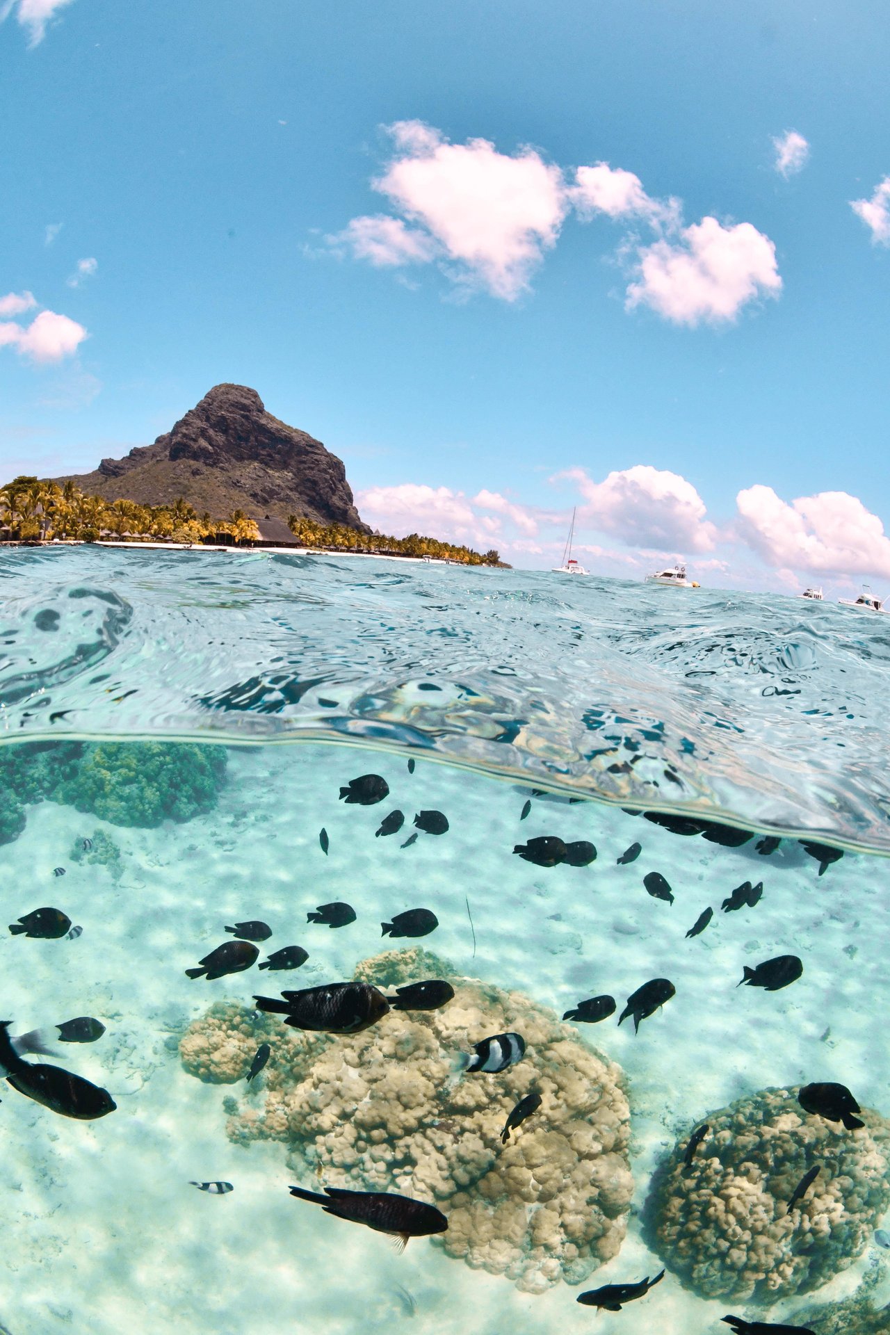 Copyright: All rights reserved - Beachcomber Resorts & Hotels