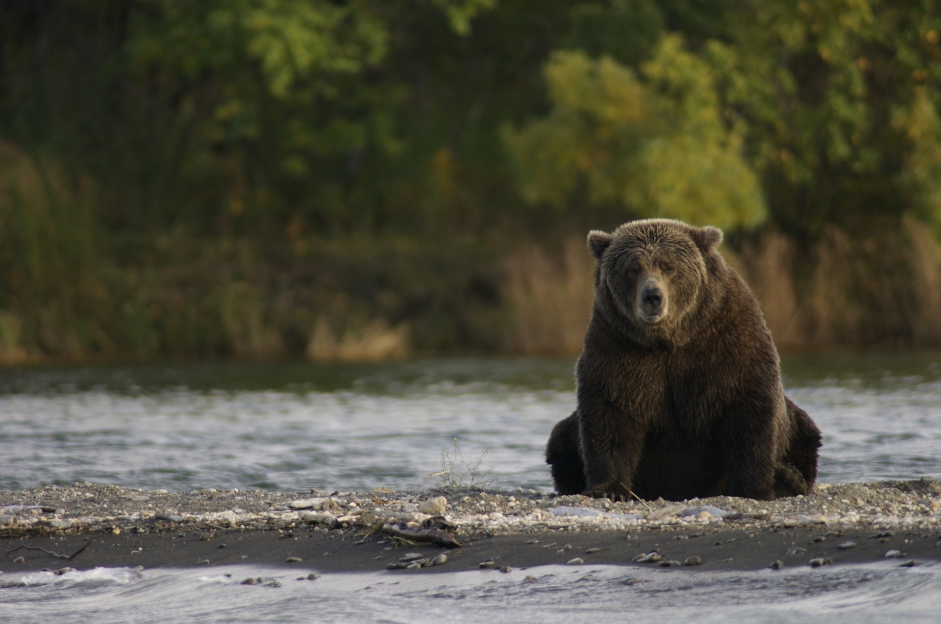 Alaska. Foto: Pixabay