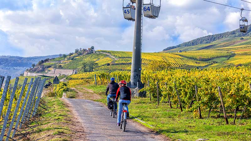 Rüdesheim. Foto: Rüdesheim Tourist AB/Elite Travel