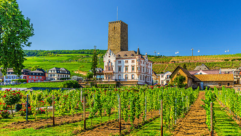 Rüdesheim. Foto: IStock/Elite Travel