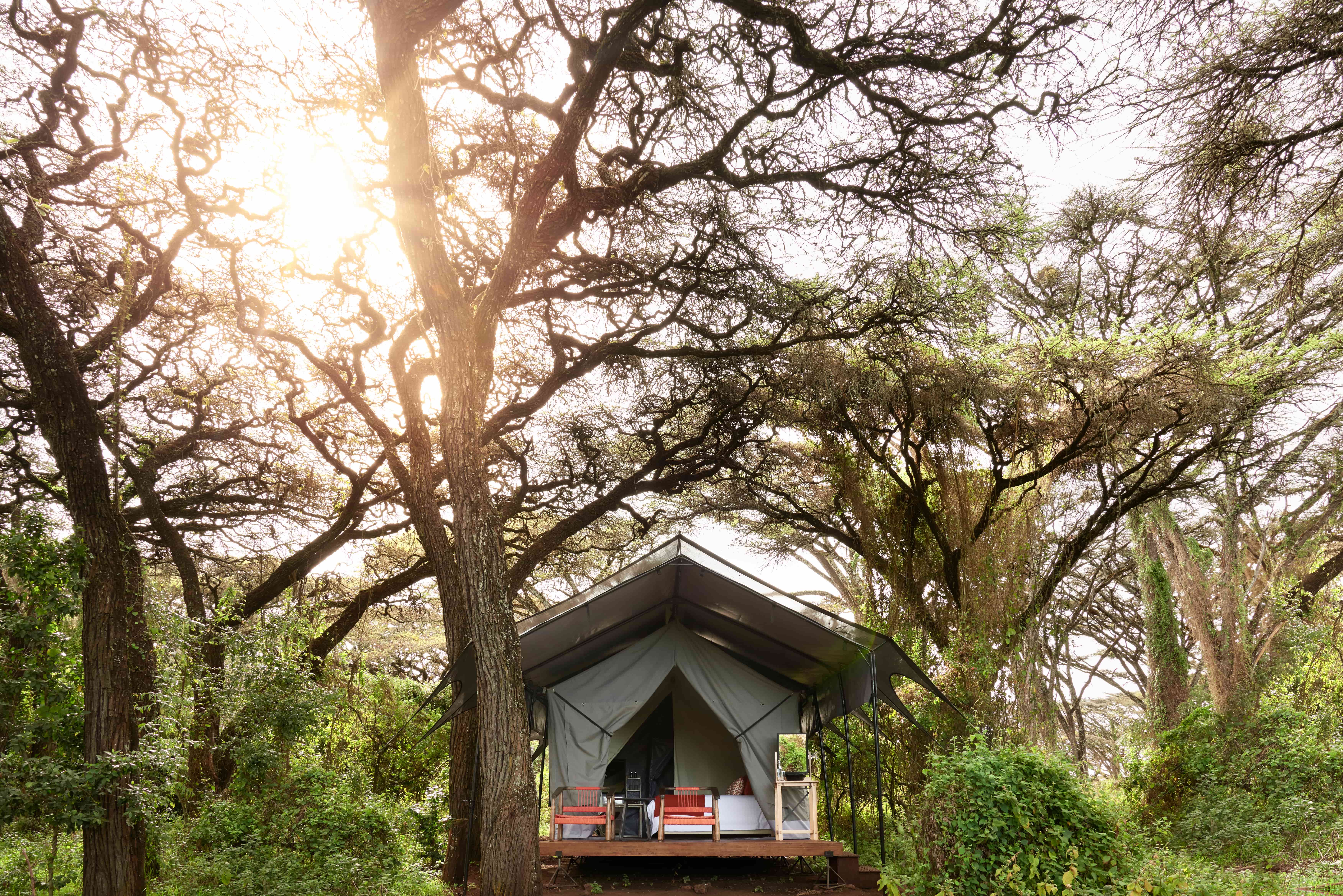 Ngorongoro Crater Camp Foto: A&K Sanctuary