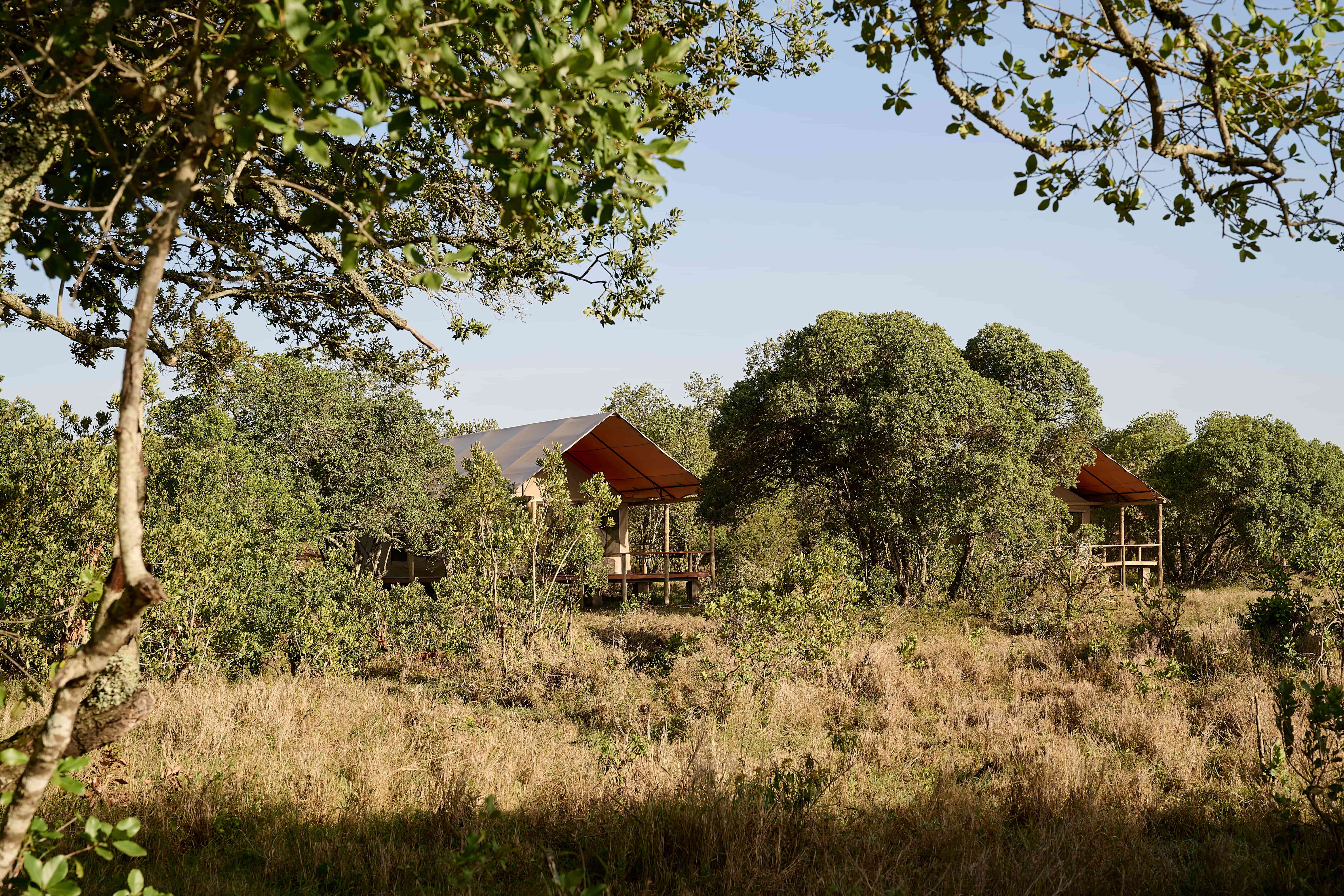 Tambarare Camp, Kenya. Foto: A&C Sanctuary