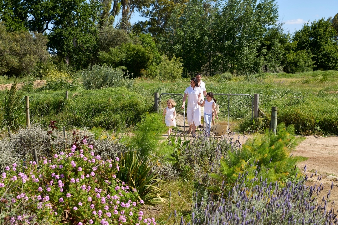 Foto: Spier Hotel