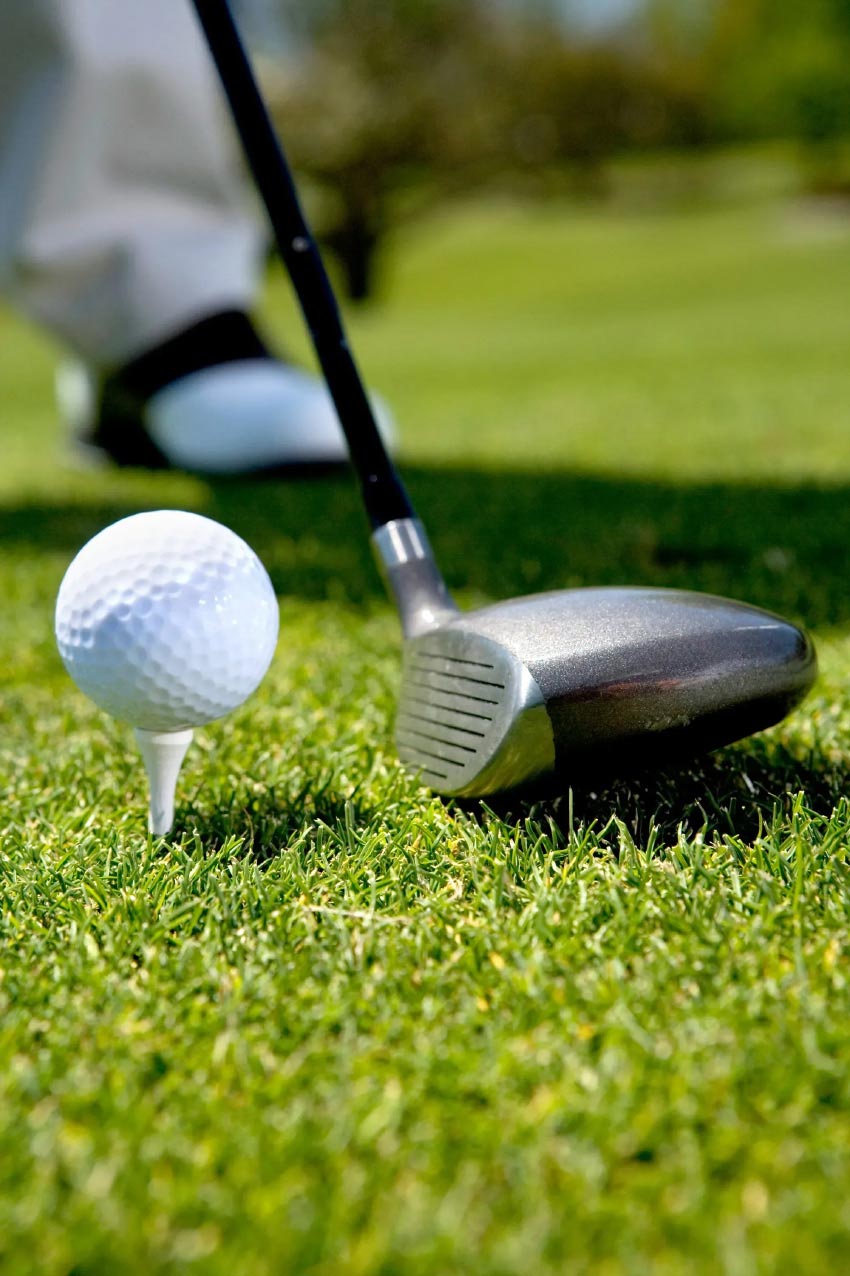 Golf section image