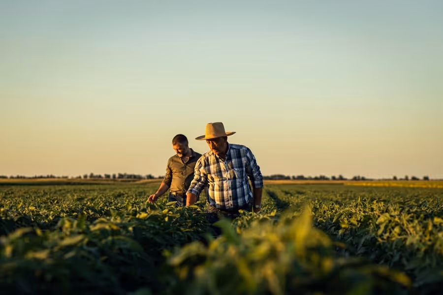 Agricultural and Farm Workers