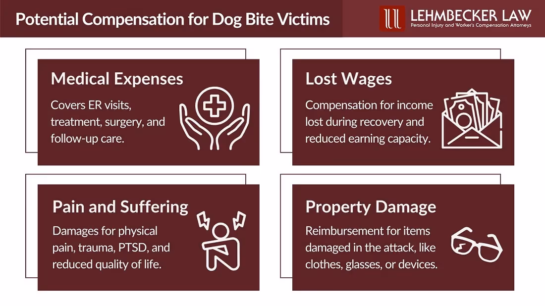 Potential Compensation for Dog Bite Victims: Infographic