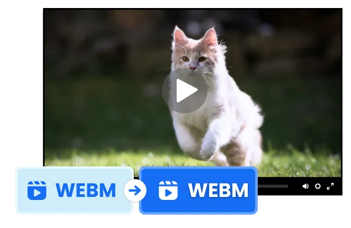 Why Convert WEBM to WEBM?