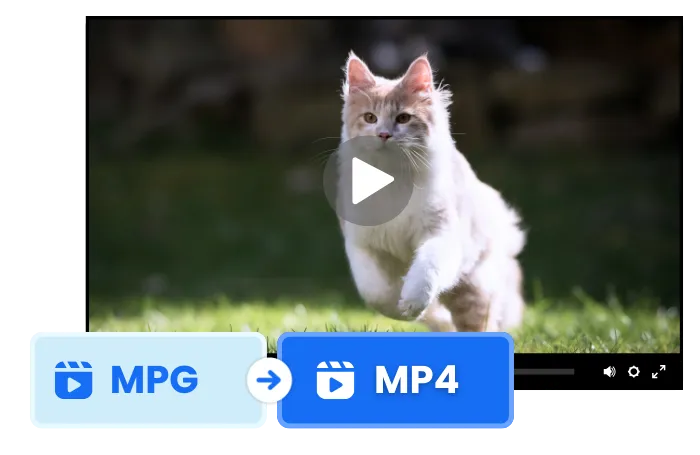 Why Convert MPG to MP4?