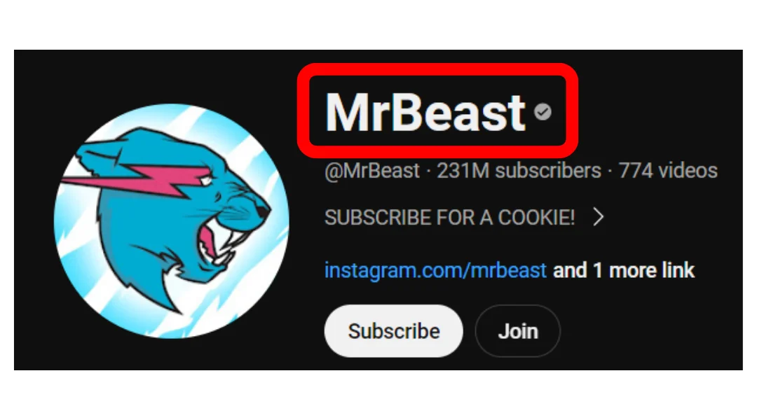 YouTuber Mr. Beast's bio section on YouTube