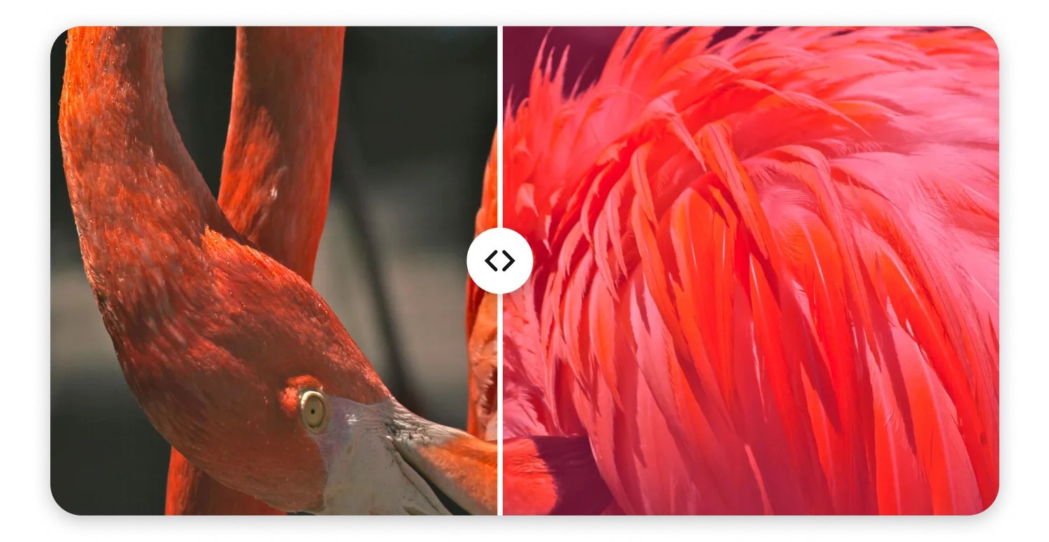 Upgrade Your Content Quality with Video Filters