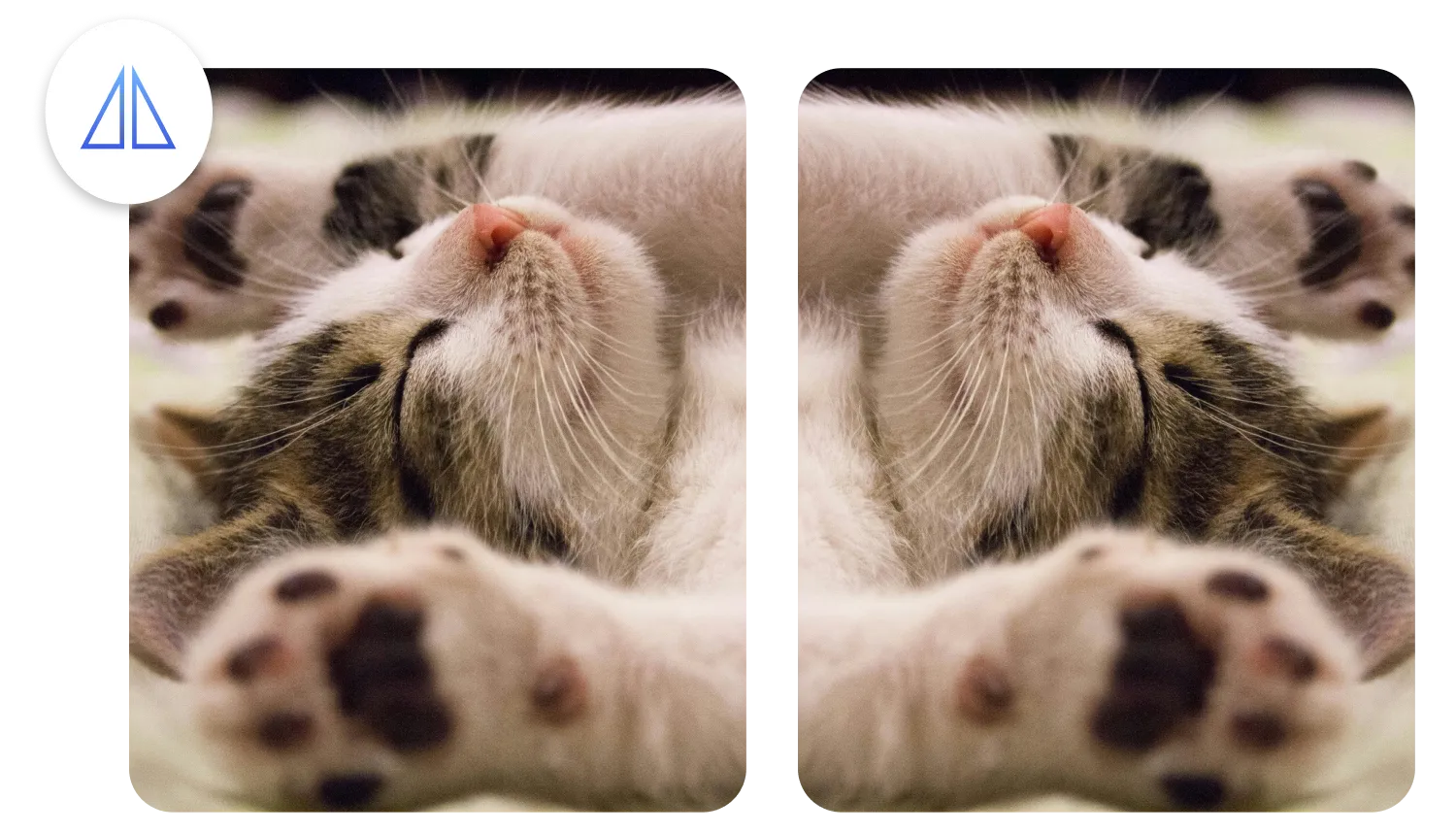 Flip Video Online
