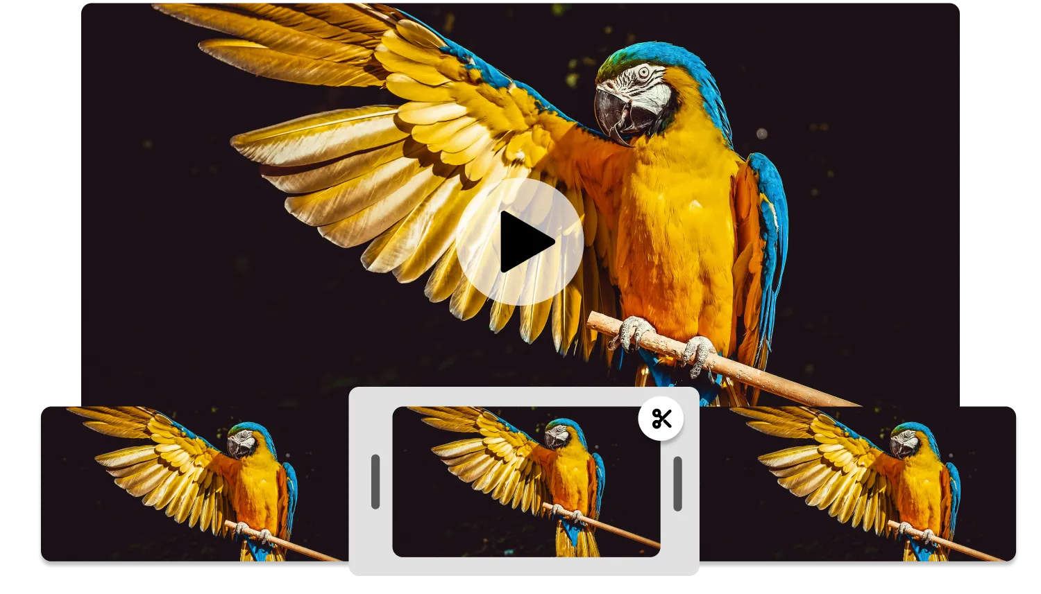 Online Video Splitter