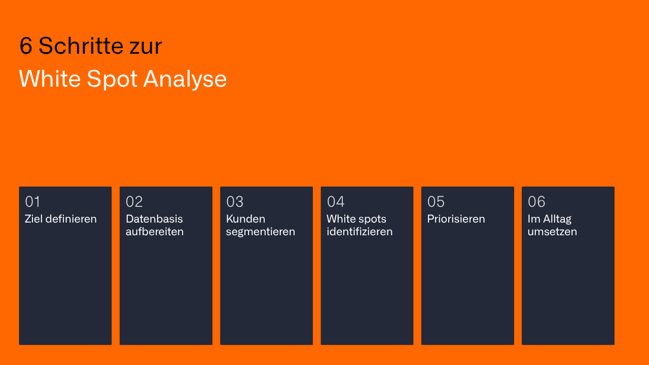In 6 Schritten zur White Spot Analyse