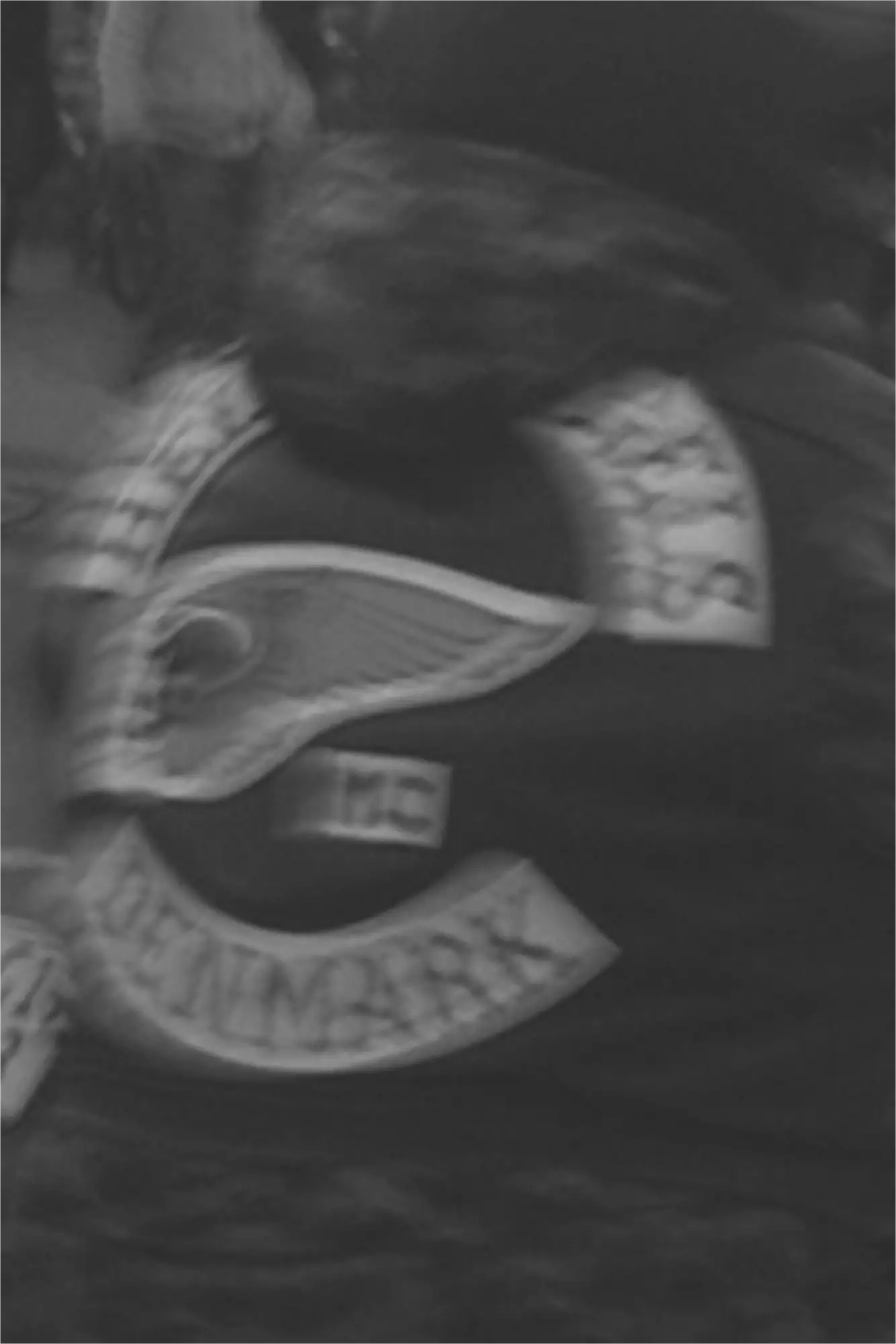 Tæt sort-hvidt billede af ryggen på jakke med stor logo og teksten The Dreammakers MC.