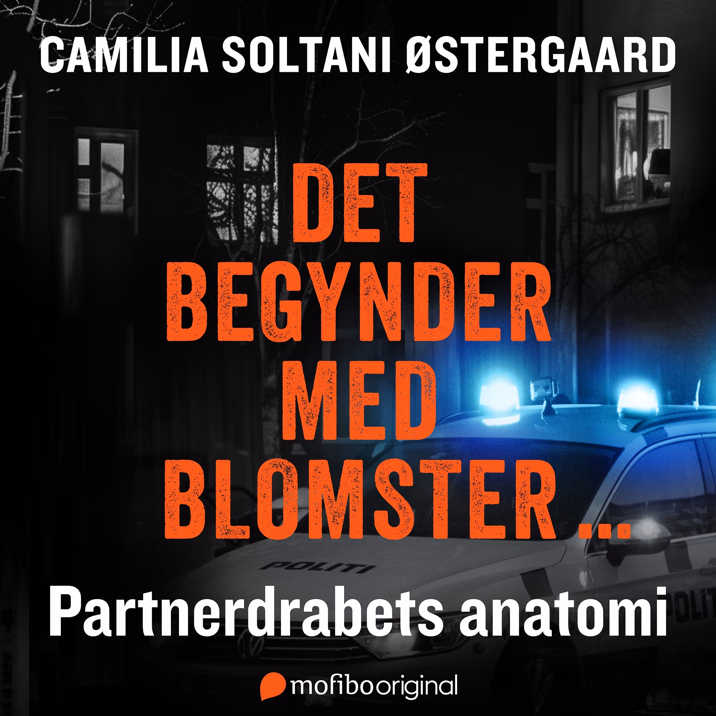 Book cover with police car flashing lights and title in Danish about partner violence anatomy.