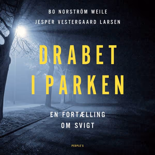 Bogens omslag med titlen Drabet i parken, gade i en mørk, tåget park med træer og gadelamper.