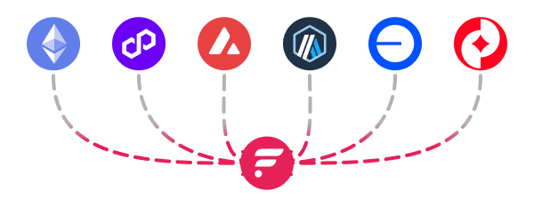 FLR Money Supported Chains