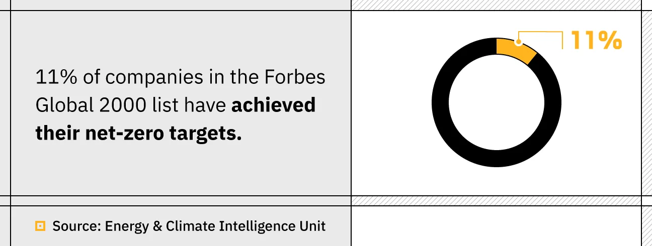 Net zero targets