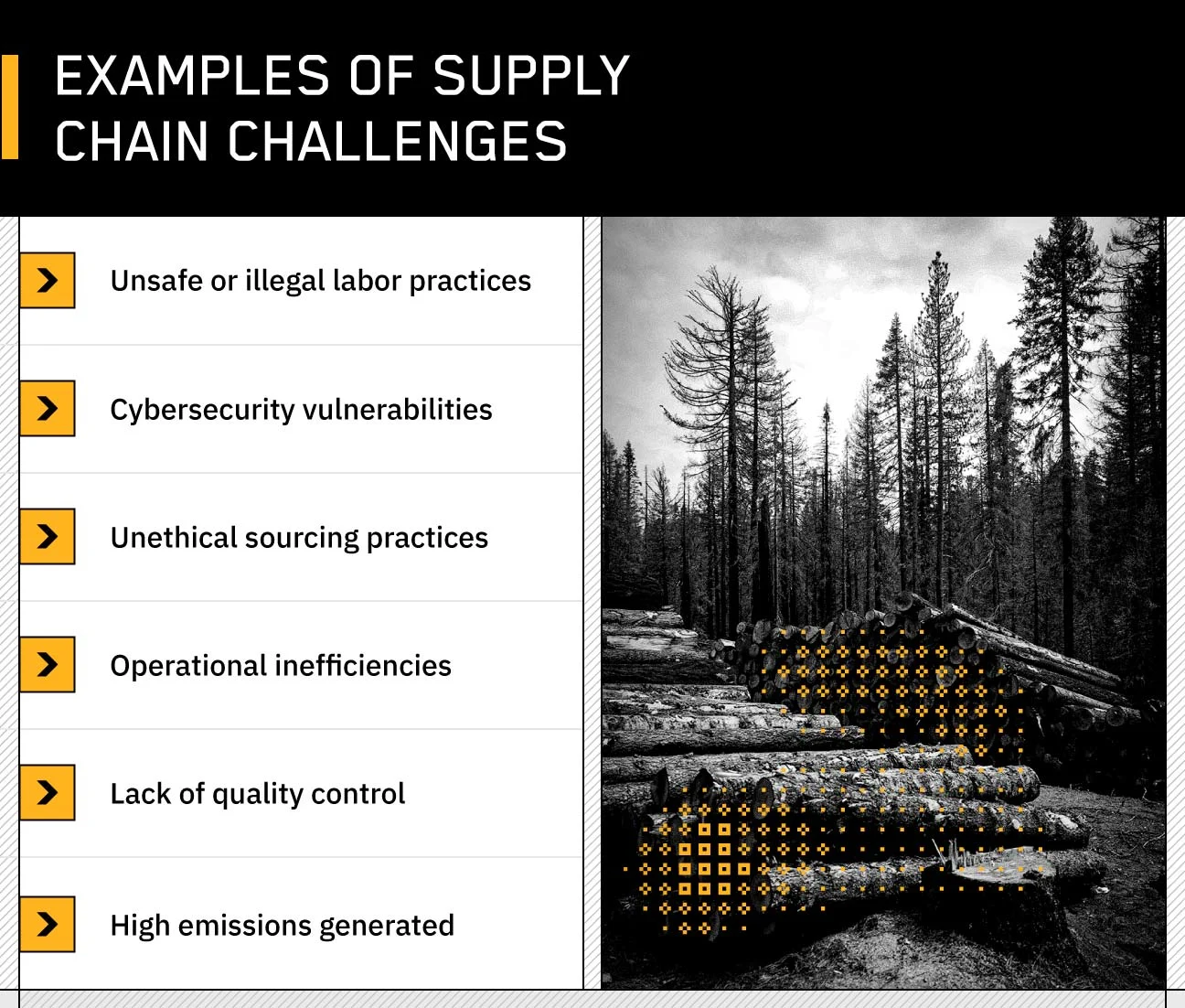 text on the left listing examples of supply chain challenges with black and white photo of a forest on the right with yellow decorative glyphs on chopped down trees