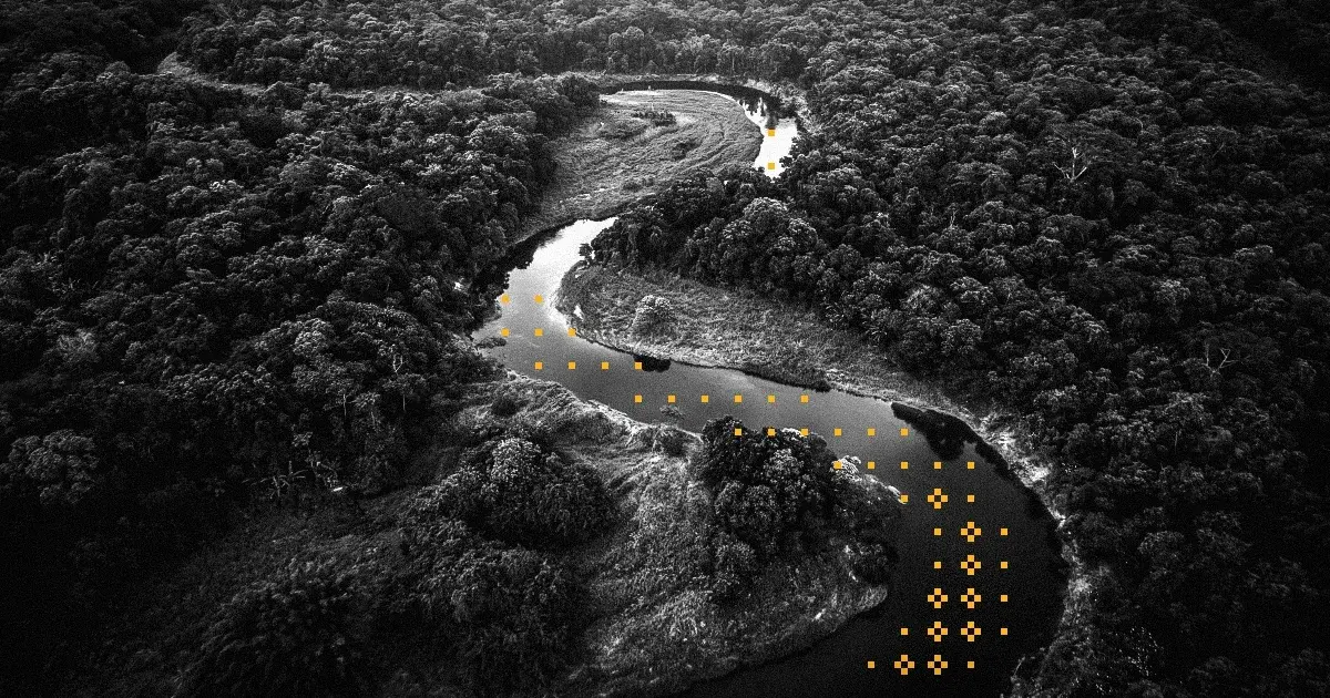 black and white image of a river flowing through a dense forest with yellow glyphs