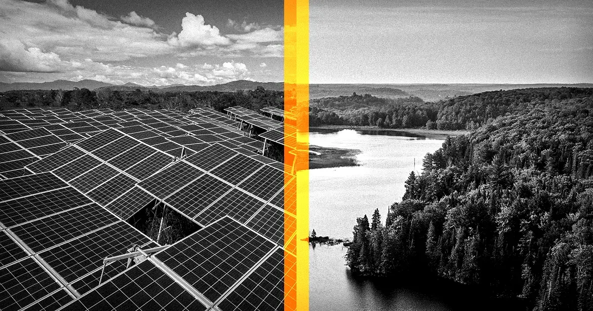 A photo split down the middle vertically with the left half depicting solar panels and the right half a forest running next to a river. The divider between the two images is bright yellow.